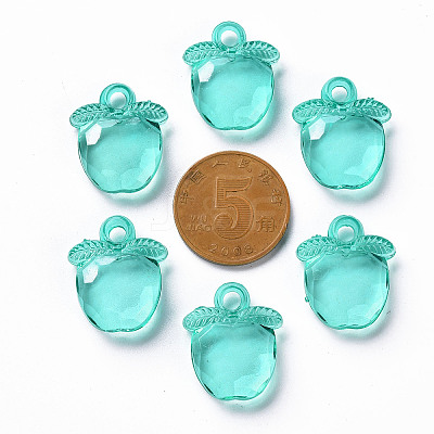 Transparent Acrylic Pendants TACR-S154-28B-68-1