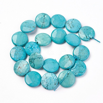 Natural Magnesite Beads Strands TURQ-P027-85-20MM-1
