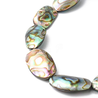Natural Paua Shell Beads Strands SHEL-F006-03-1
