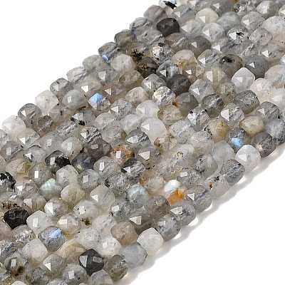 Natural Labradorite Beads Strands G-D358-A01-1