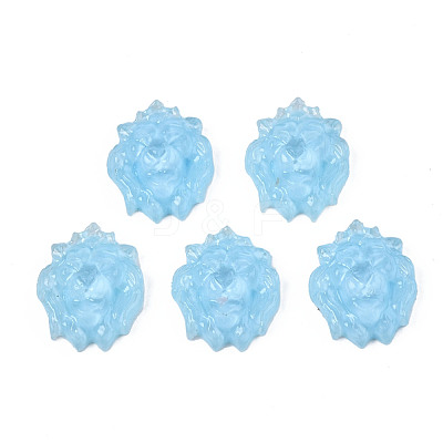 Transparent Resin Cabochons CRES-S302-48-1