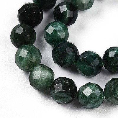 Natural Fuchsite Beads Strands G-S345-10mm-33-1