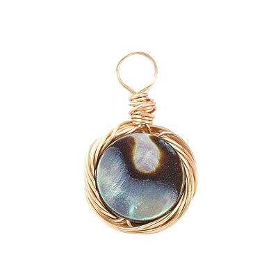 Natural Abalone Shell/Paua Shell Pendants PALLOY-JF00457-01-1
