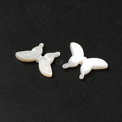 Natural White Shell Beads SHEL-M021-09A-1
