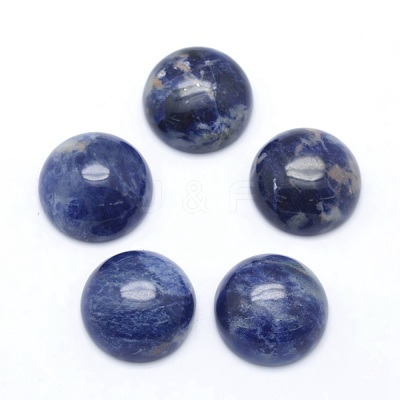 Natural Sodalite Cabochons G-P393-R45-10MM-1