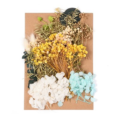 Dried Flower DIY-B018-03-1