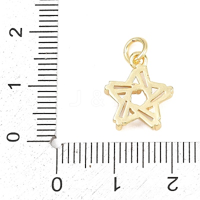 Brass Micro Pave Clear Cubic Zirconia Charms KK-F938-14G-1
