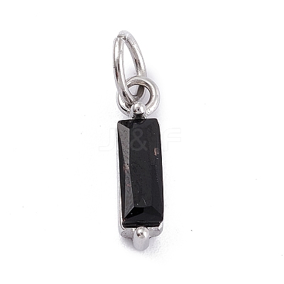 304 Stainless Steel Cubic Zirconia Pendants X-STAS-E487-21P-05-1