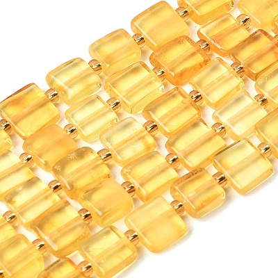 Natural Amber Beads Strands G-C260-A01-04-1