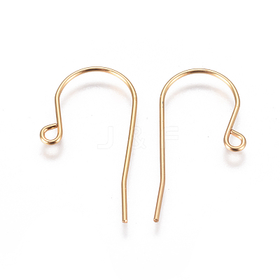 304 Stainless Steel Earring Hooks STAS-F227-29-G-1