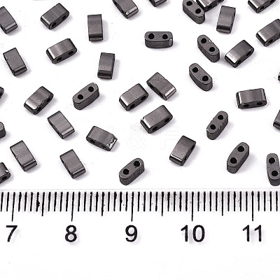 FGB 2-Hole Glass Seed Beads SEED-S031-M-SH576-1
