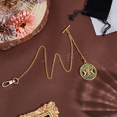 Aluminum Chain & Iron Clip Pocket Watch Chain HJEW-PH02063-1
