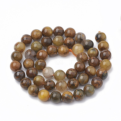 Natural Pietersite Beads Strands G-S333-10mm-010-1