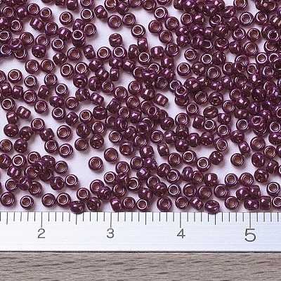 MIYUKI Round Rocailles Beads X-SEED-G007-RR0313-1