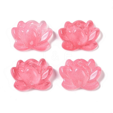 Baking Paint Glass Beads X-GLAA-S202-13J-1