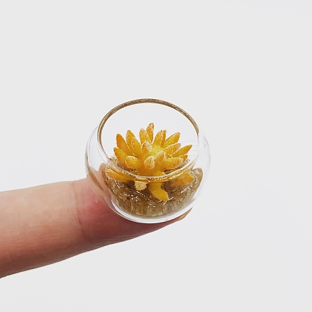 Resin Succulents Pot Model WG98425-02-1