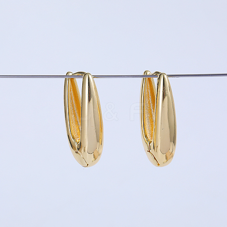 Oval Brass Hoop Earrings WC9098-1