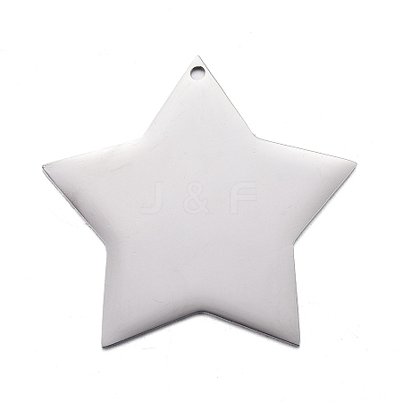 Non-Tarnish 304 Stainless Steel Pendants STAS-F254-07B-P-1