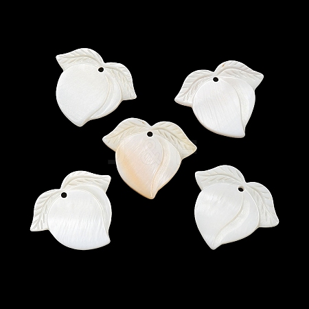Natural Freshwater Shell Pendants SHEL-K006-09-1