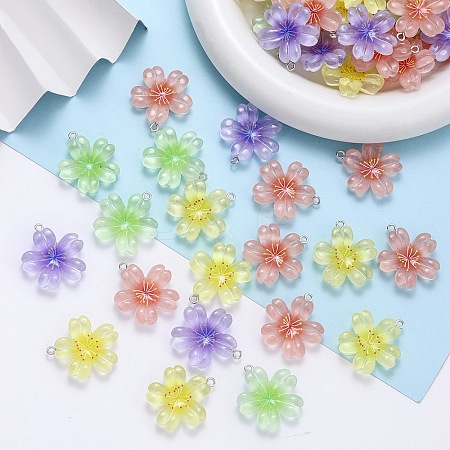 Transparent Resin Pendants RESI-A046-05B-1