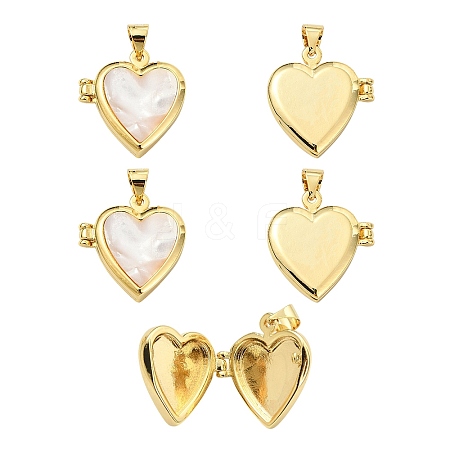 5Pcs Natural Shell Locket Pendants KK-SZ0006-51-1