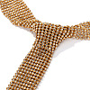 Alloy Full Crystal Rhinestone Mesh Tassel Y Necklaces for Women WG87624-01-3