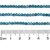 Natural Apatite Beads Strands G-Z057-B02-02-4