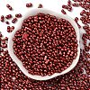 Baking Paint Glass Seed Beads SEED-L011-12A-05-2