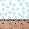 FGB Frosted Transparent Glass Seed Beads SEED-N013-03A-11-4
