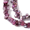 Natural Freshwater Shell Beads Strands BSHE-H018-07F-3