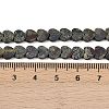 Natural Dragon Blood Beads Strands G-A272-A02-01-6