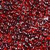 Picasso Spray Painted Glass Seed Beads SEED-T006-04-34-2
