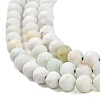 Natural Green Opal Beads Strands G-Z035-A02-03D-4