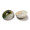 Conch Sea Shell Cabochons BSHE-Z005-08-2