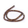 Natural Picture Jasper Beads Strands G-G783-10B-2