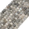 Natural Labradorite Rondelle Bead Strands G-O095-04-A-01A-2
