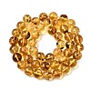 Natural Amber Beads Strands G-K376-H03-03-3