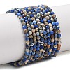 Natural Imperial Jasper Beads Strands G-L578-A15-2