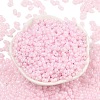 Baking Paint Glass Seed Beads SEED-L011-09A-09-2