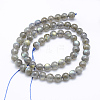 Natural Labradorite Beads Strands G-P336-19-7mm-2