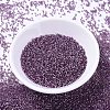 MIYUKI Delica Beads X-SEED-J020-DB2169-2