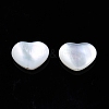 Natural White Shell Beads SSHEL-N032-53-1