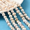 Natural Cultured Freshwater Pearl Beads Strands PEAR-B004-13A-01A-1