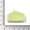 Flocky Opaque Resin Pendants LS-RESI-F062-02G-3