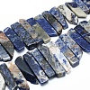 Natural Sodalite Beads Strands G-L551B-01-1