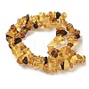 Natural Amber Beads Strands G-L095-D01-04-3