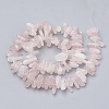 Natural Rose Quartz Beads Strands X-G-S338-17-2