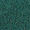 MIYUKI Round Rocailles Beads SEED-JP0008-RR0295-3