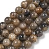 Natural Black Moonstone Beads Strands G-Q183-A01-01-2