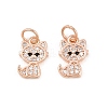 Brass Micro Pave Clear Cubic Zirconia Charms ZIRC-C020-38-2